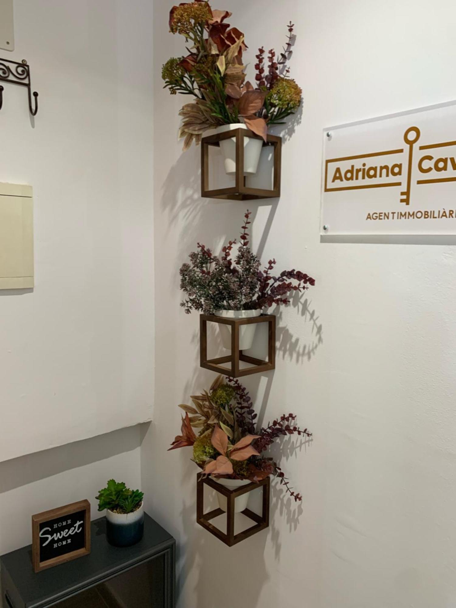 Apartament Anfiteatre Roma 塔拉戈纳 外观 照片